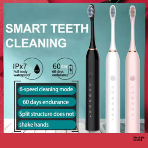 Electric Toothbrush with Replaceable Heads